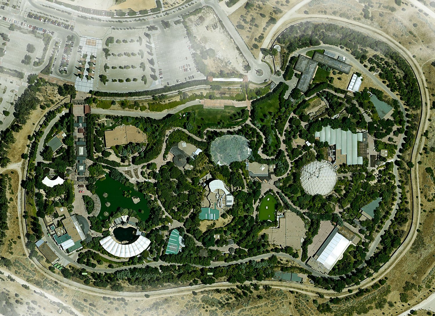 Faunia before illustrated map